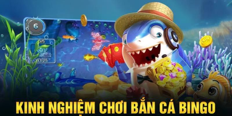 Những mẹo chơi bắn cá bingo luôn giành chiến thắng