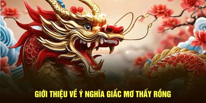 Giới thiệu về ý nghĩa giấc mơ thấy rồng